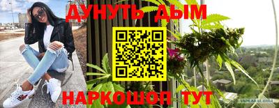 apvp Нальчик