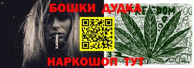 apvp Нальчик