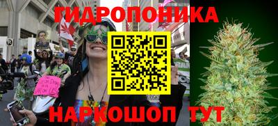apvp Можга