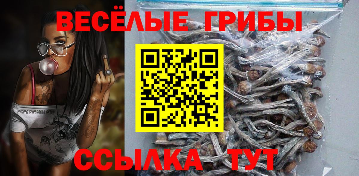 Псилоцибиновые грибы Cubensis Якутск